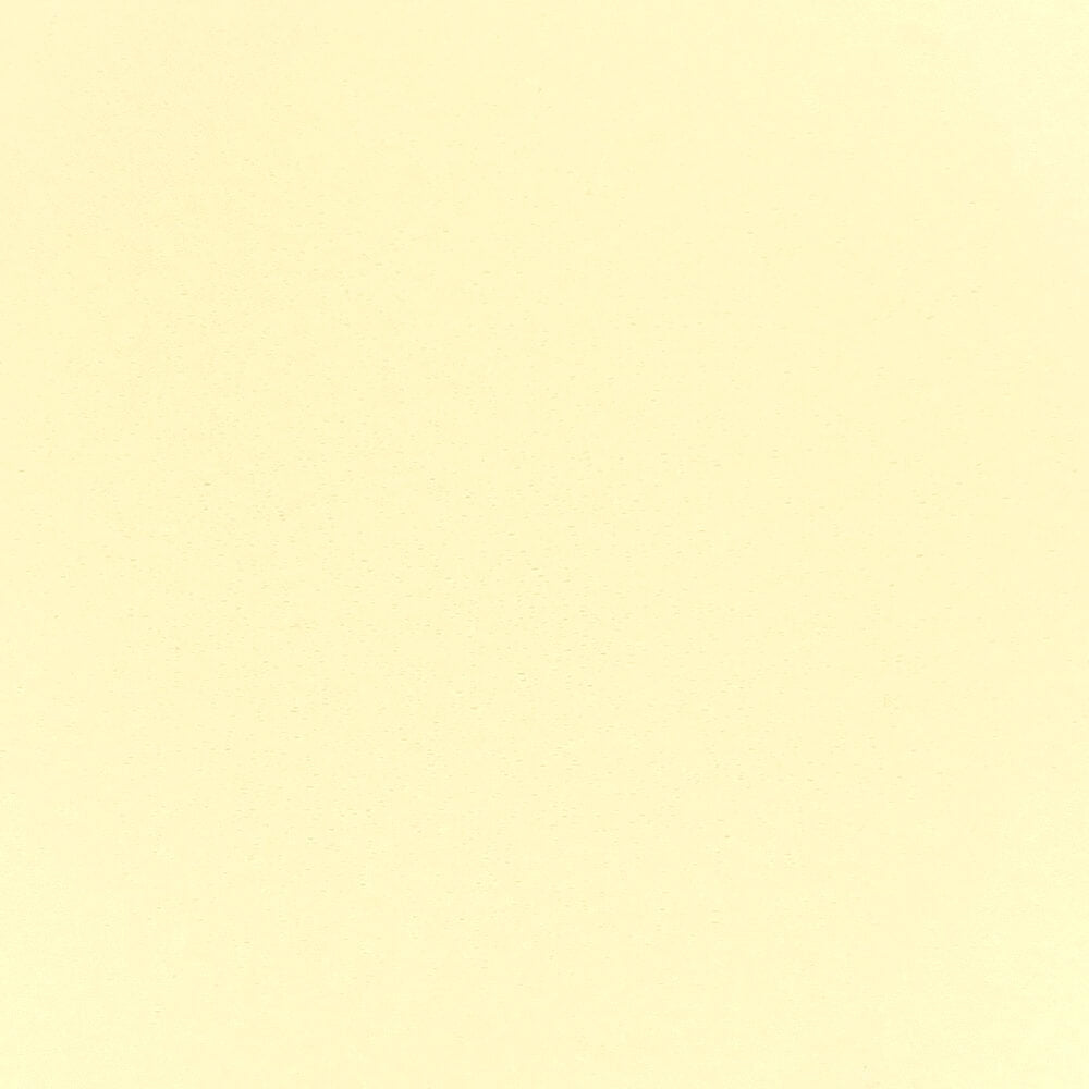 SIMILI-BOIS UNI 2.5'' - IVOIRE
