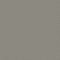 gris fonce