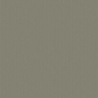 gris fonce