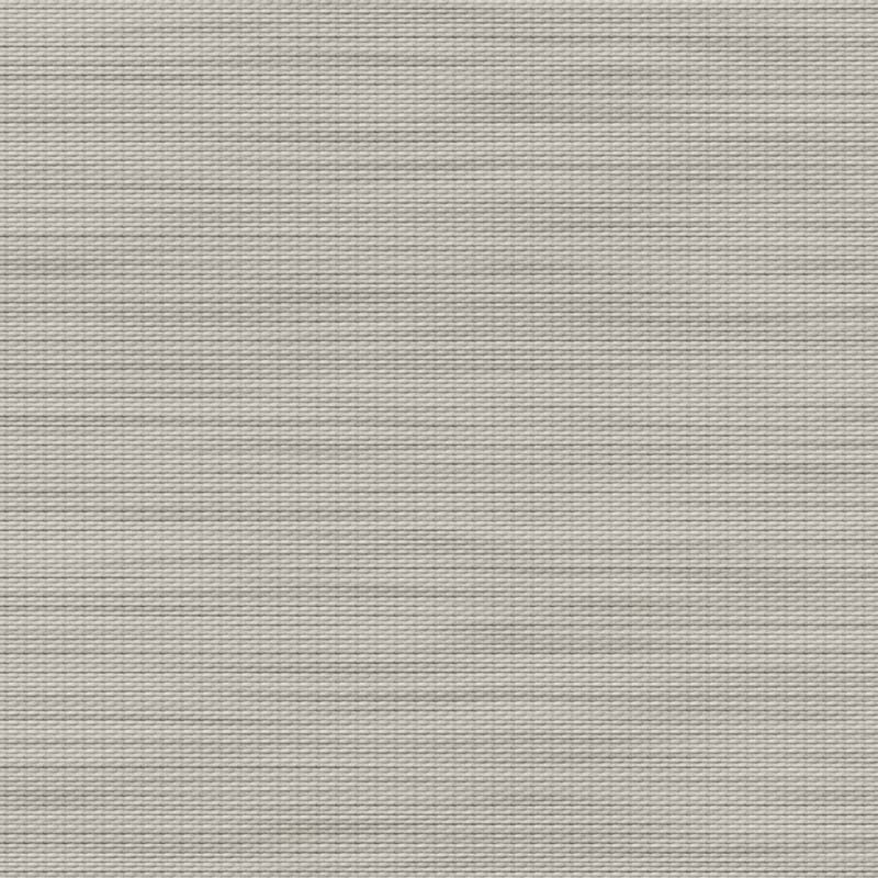 CAPELLA NOIRCISSANT - GRIS