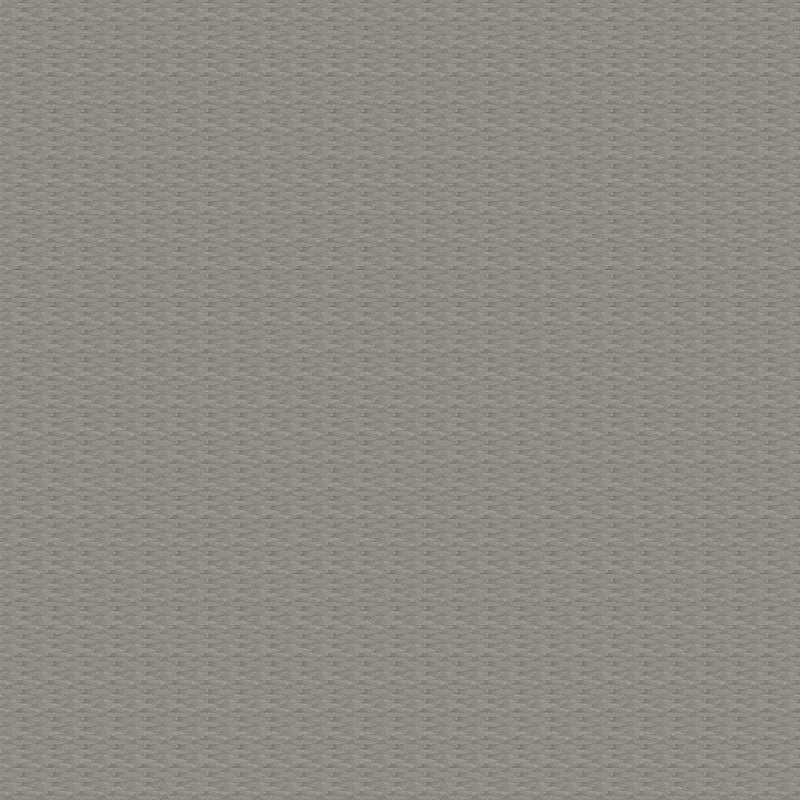 ECLIPSE NOIRCISSANT - GRIS
