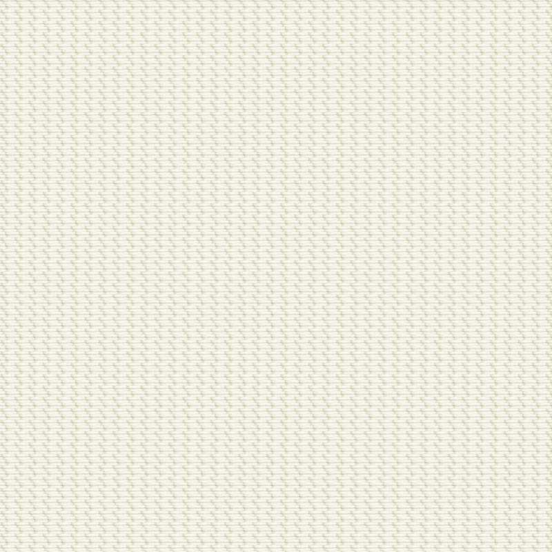 LIORA NOIRCISSANT - BLANC CASSÉ