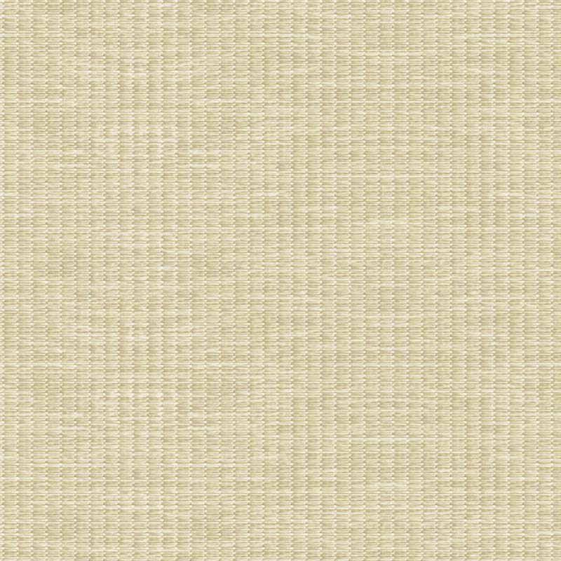 MAESTA NOIRCISSANT - SABLE