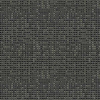 gris charbon