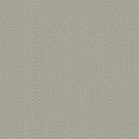 gris requin