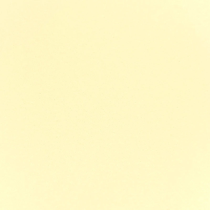 SIMILI-BOIS UNI 2'' - IVOIRE