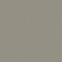 gris foncé